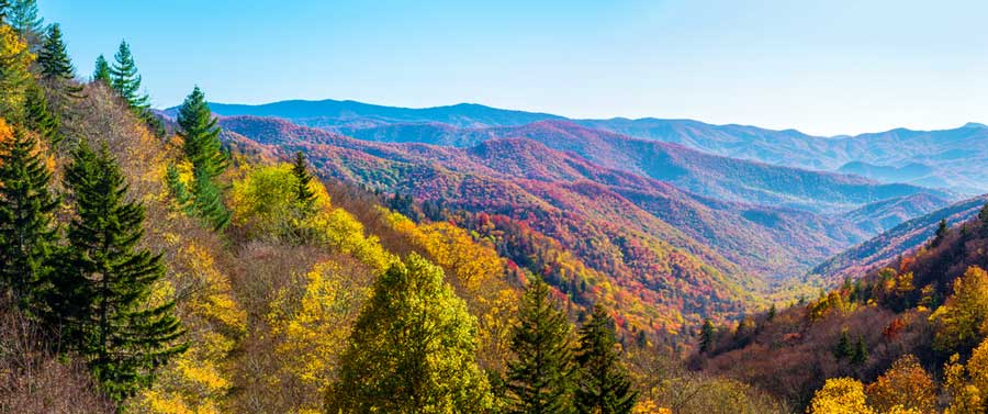 The Smoky Mountain National Park during autumn season