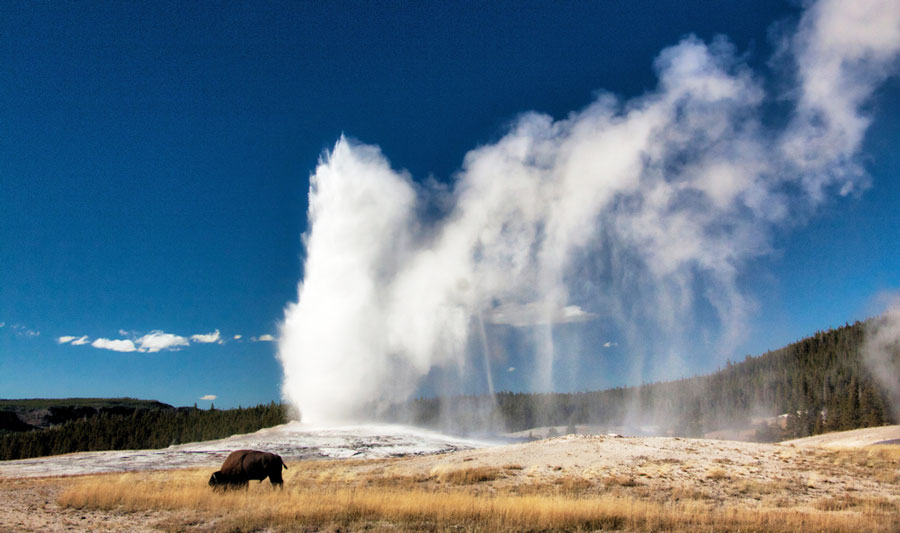 View of the Old Faithful Geyser and the clear blue sky
