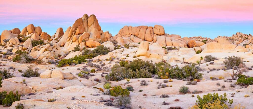 Colorful sky over the Joshua Tree National Park in the Southwest States of the USA