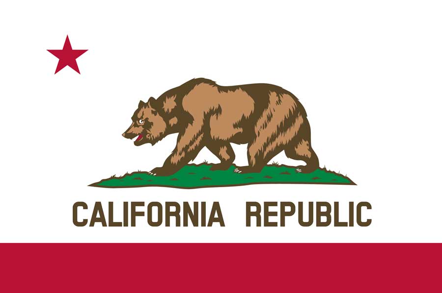 A bear on the California’s State flag