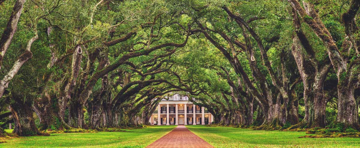 View from the Oak Alley Plantation in Louisiana, one of the states considered the South
