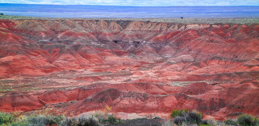 Overlooking view of the Painted Desert
