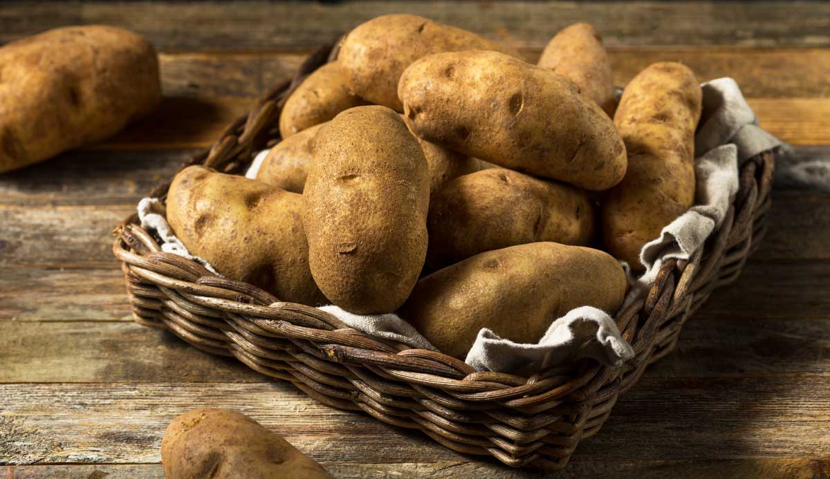 Organic russet potatoes, one of the things Idaho is known for, on a wooden basket