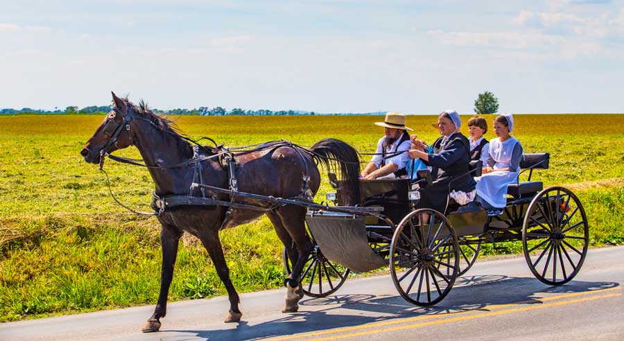An Amish family riding a horse carriage