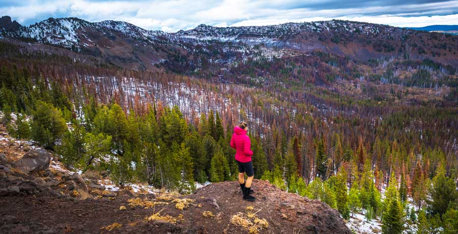 A hiker admiring the overlooking view in Malheur National Forest