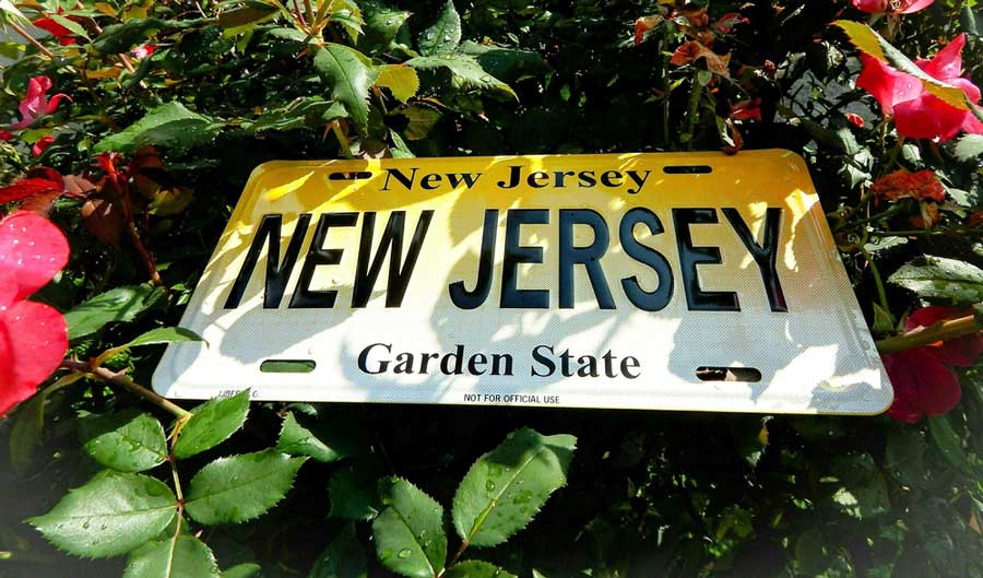 A New Jersey License plate on top of a rose plant