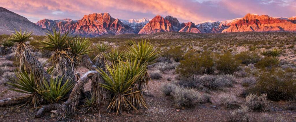 Colorful sky over the Red Rock Canyon in Nevada during sunset