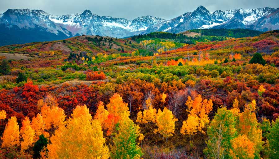 Overlooking view of nature in Colorado during autumn season