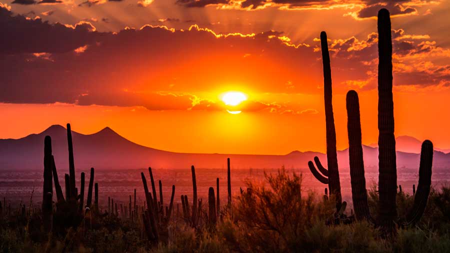 Sunset over a desert in Tucson, Arizona
