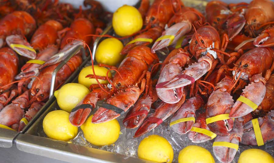 View of lobsters on ice and lemon displayed in Washington DC’s Fish Market